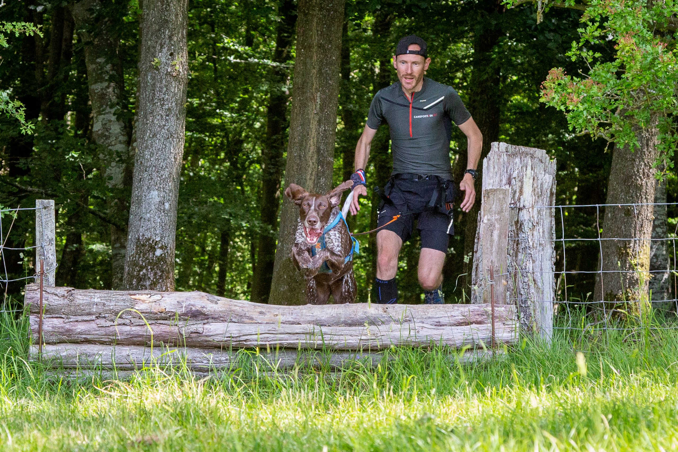 Completely Gundogs 20th June-1526