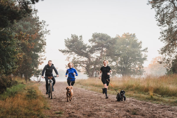 Start2Canicross november 2025