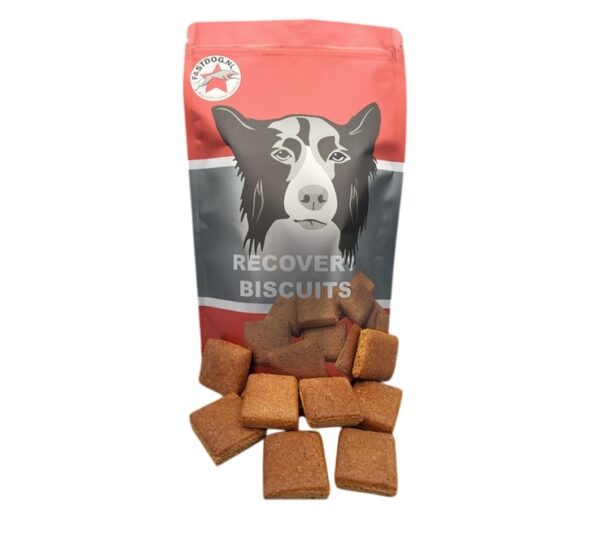 Fastdog Recovery Biscuits