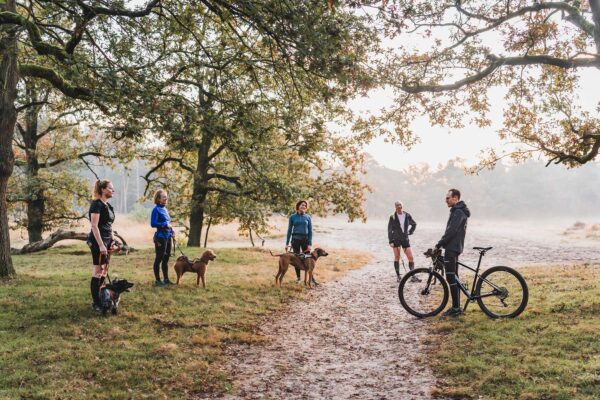 Start2Canicross november 2025 - Afbeelding 2