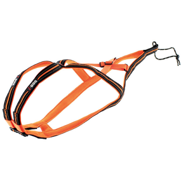 i-dog X-BACK ONE